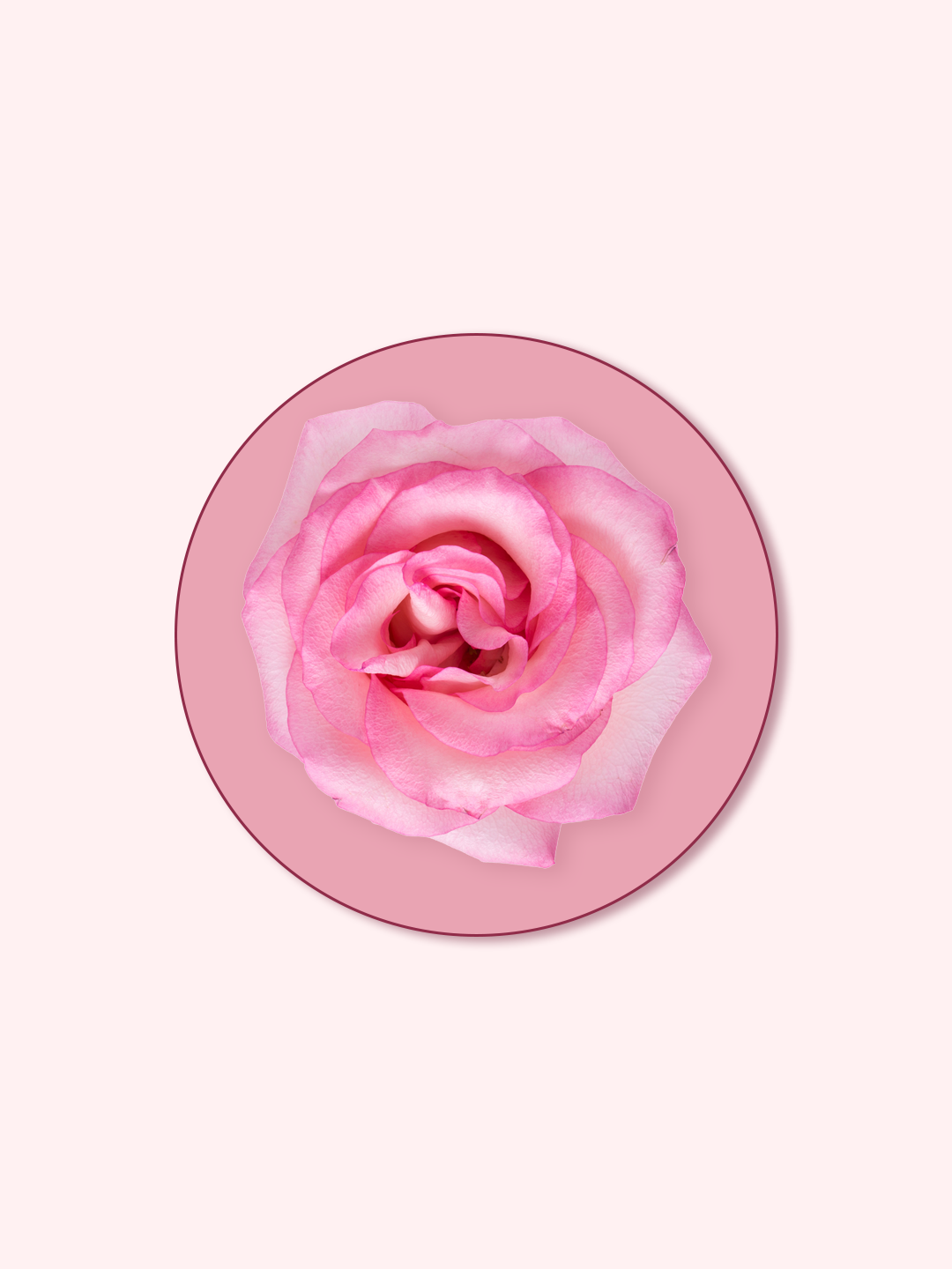 Rose Placenta®