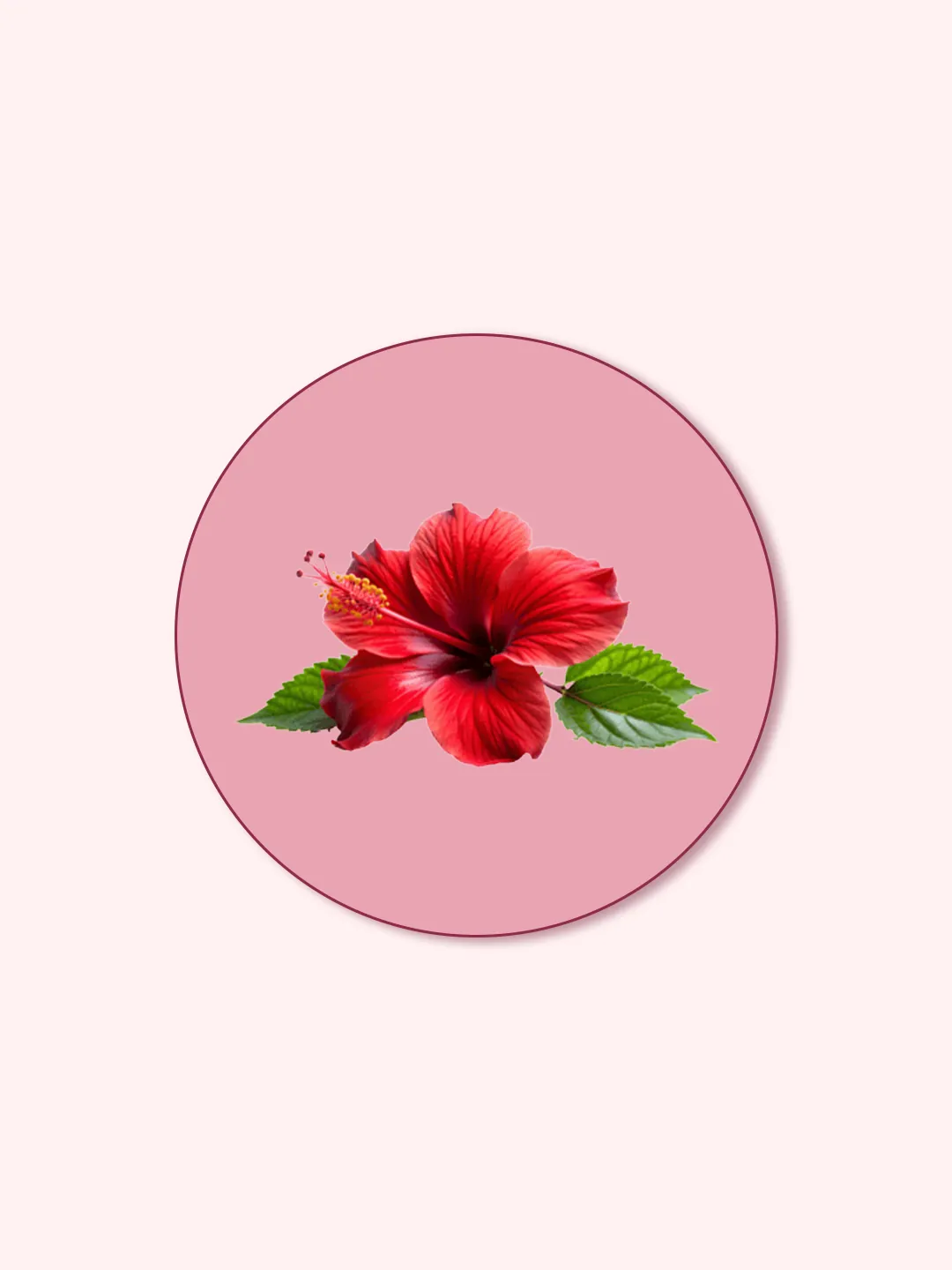 RAWGA® 木槿花胶原肽