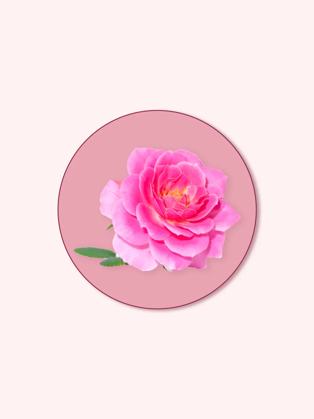 Rose Crysta®-70