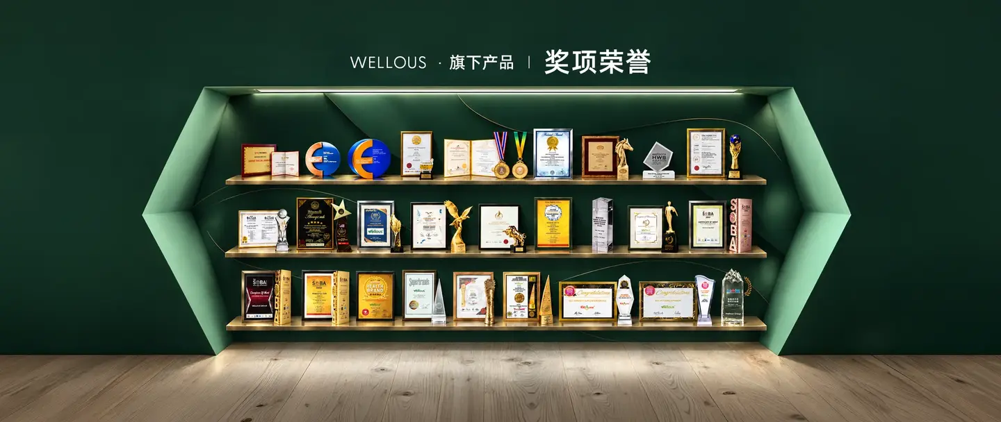 Wellous 奖项荣誉